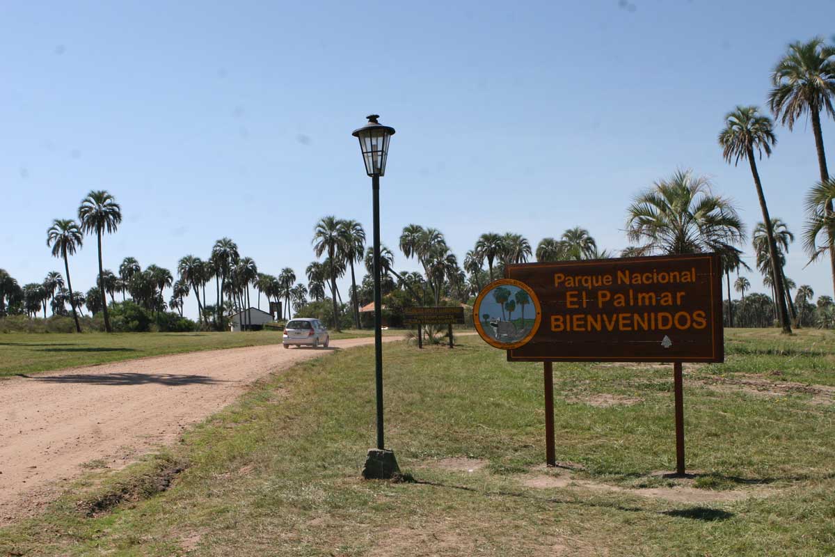C entre rios parque nacional el palmar 14