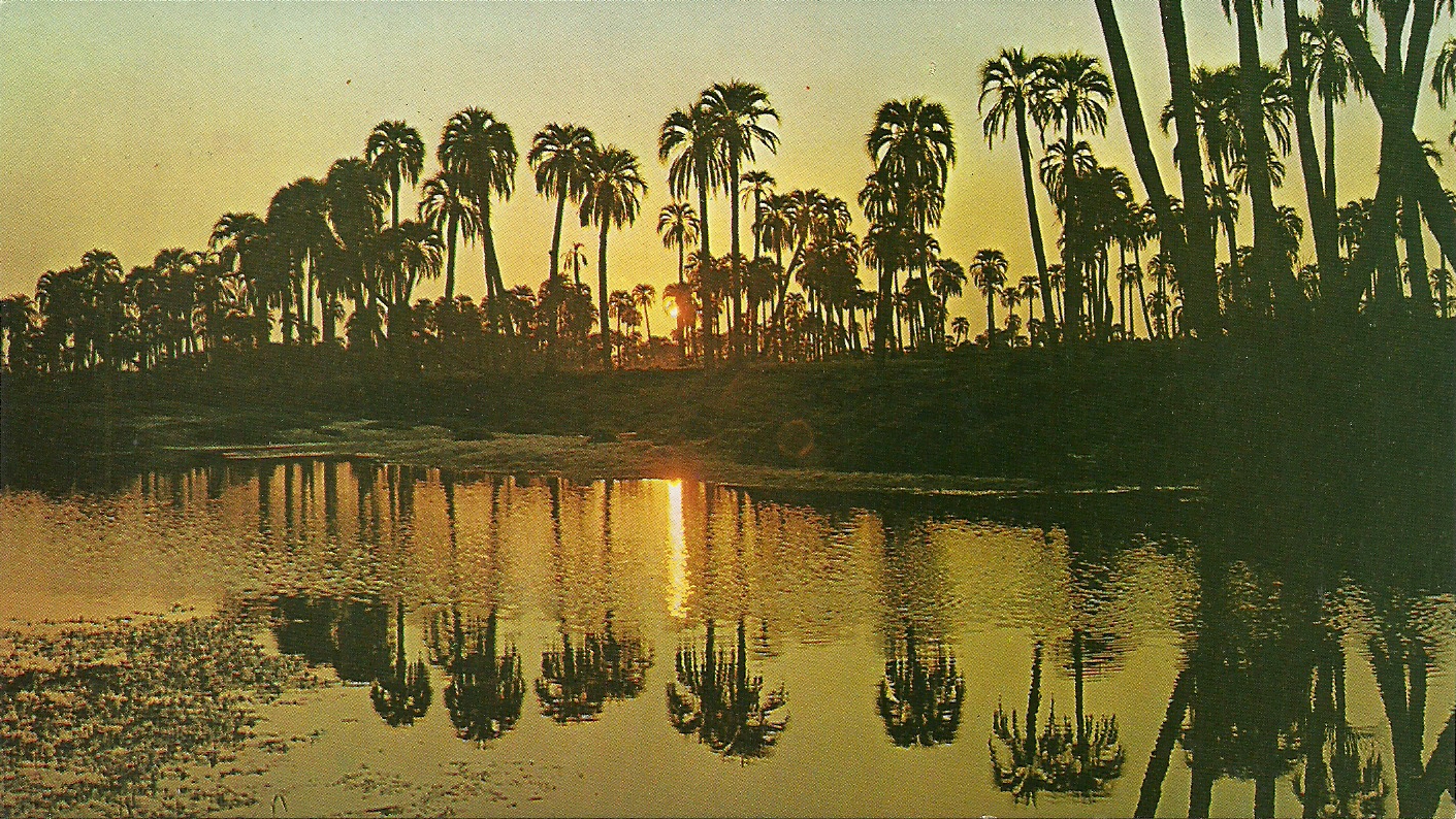 C entre rios parque nacional el palmar 5