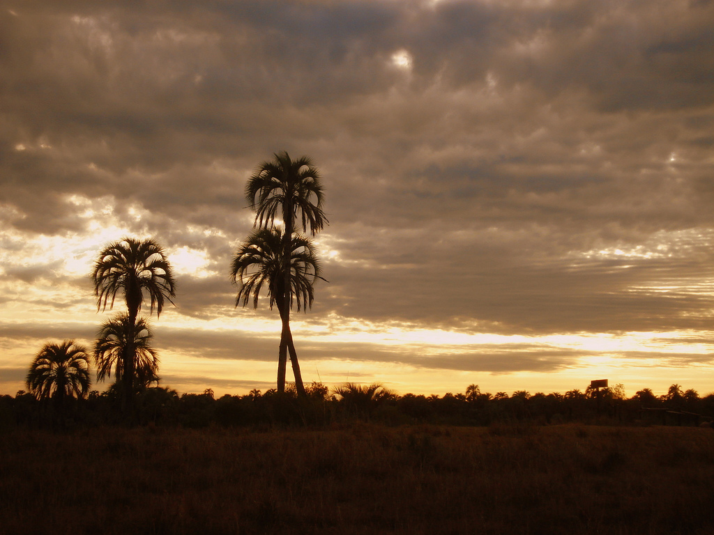 C entre rios parque nacional el palmar 6