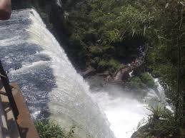 C misiones parque nacional iguazu 13
