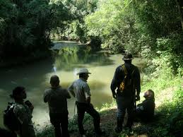 C misiones parque nacional iguazu 15
