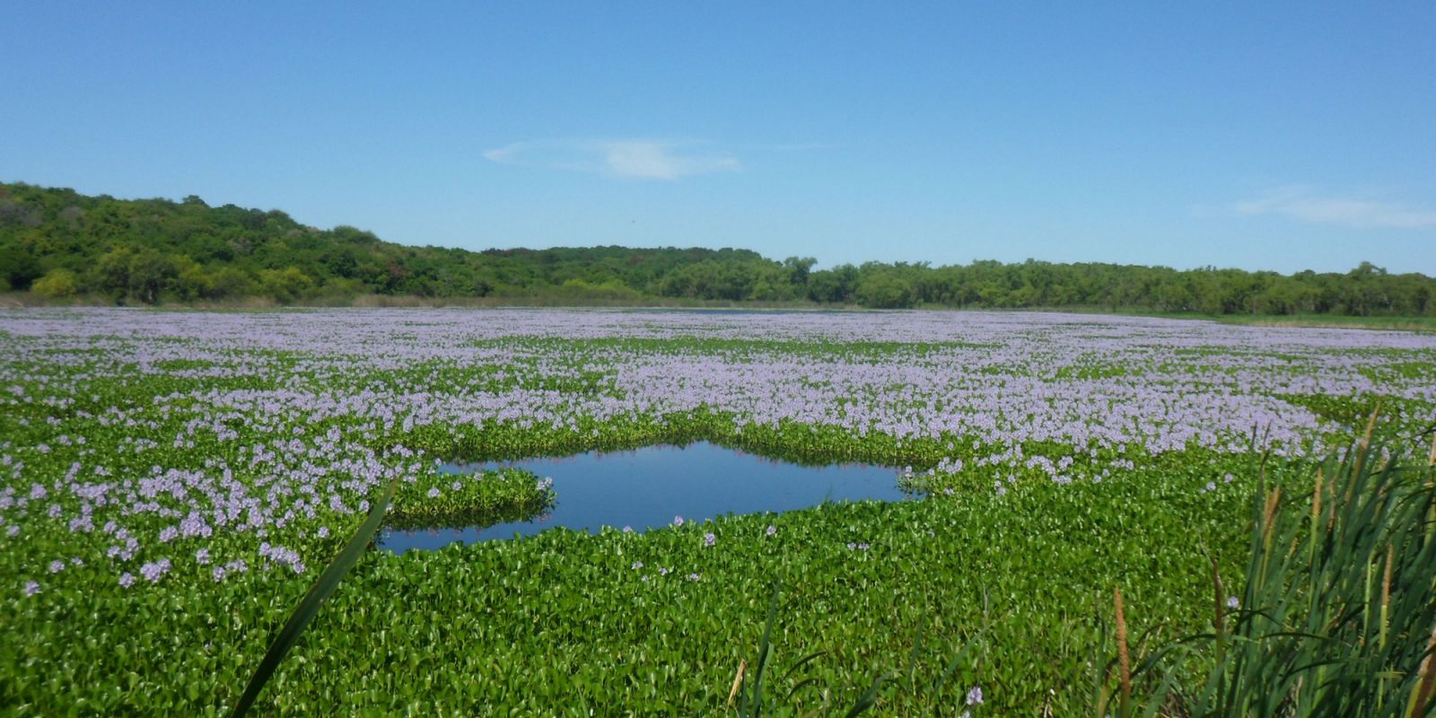 C santa fe parque nacional islas de santa fe 3