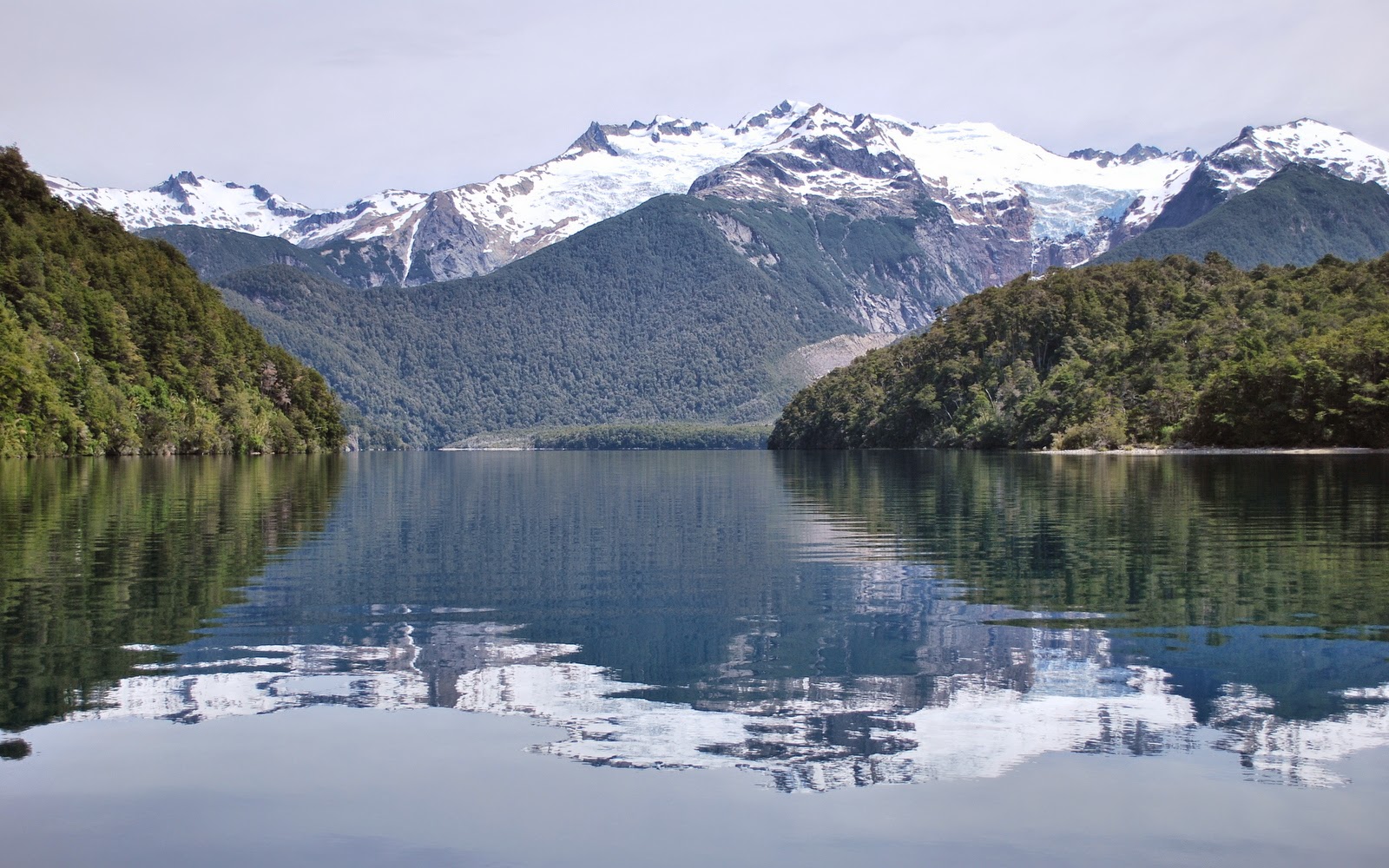 C chubut parque nacional los alerces 2