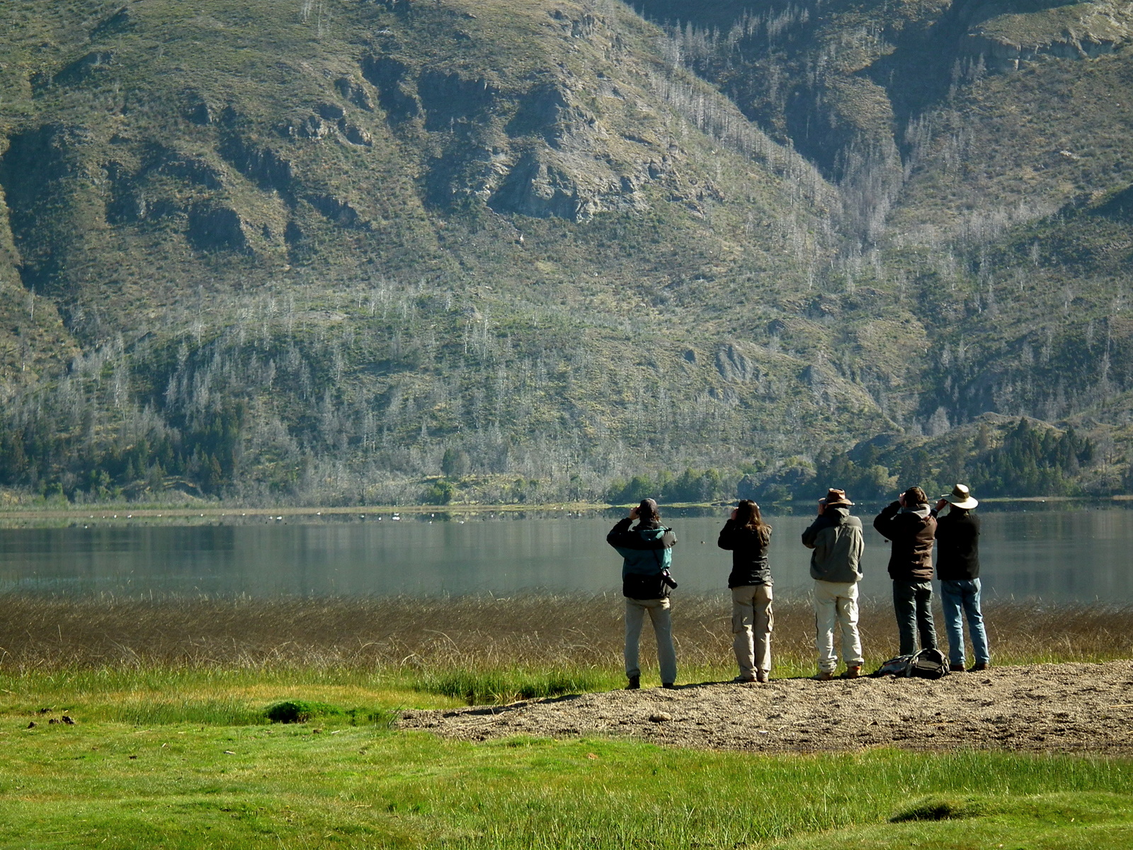 C chubut parque nacional los alerces 3