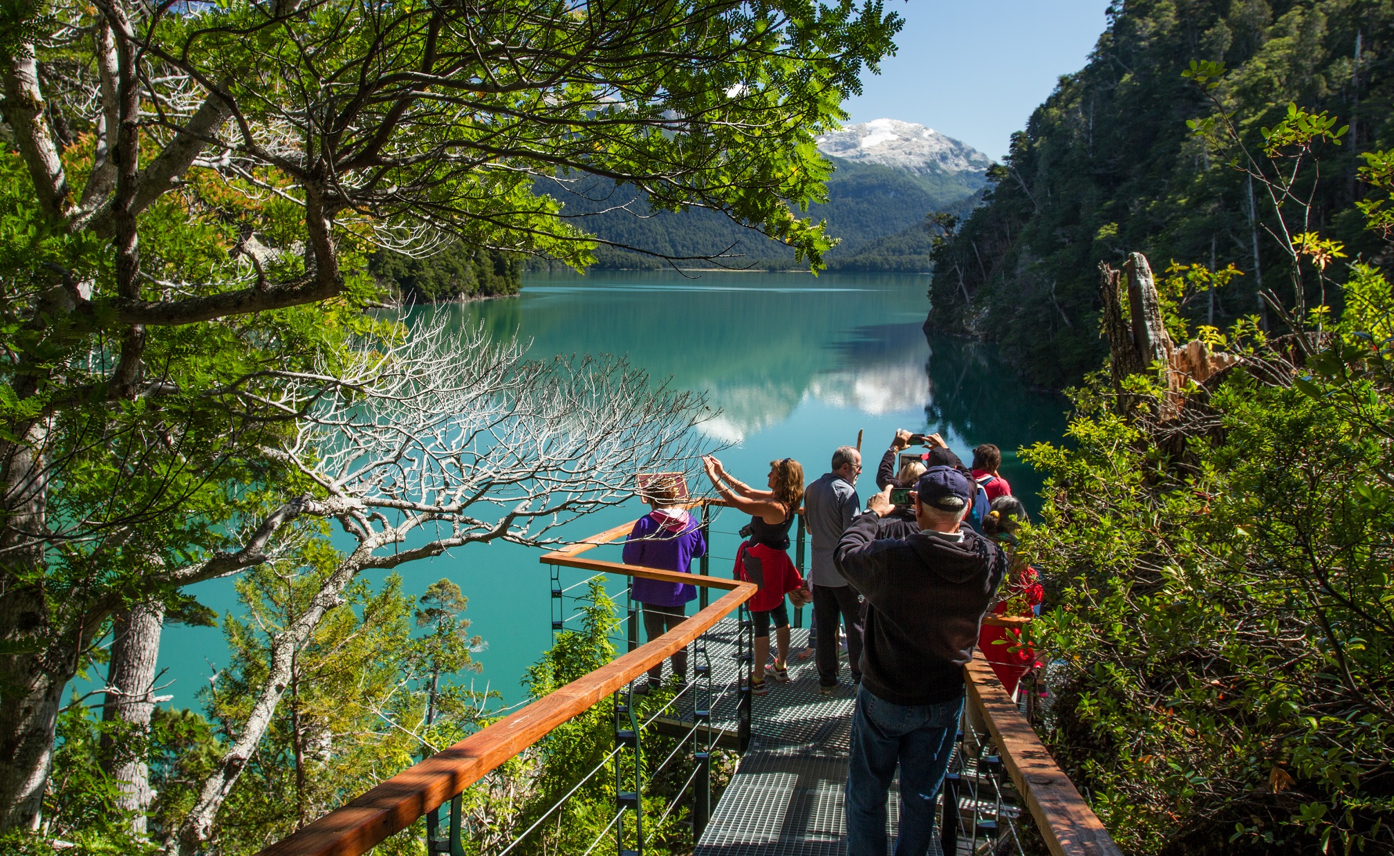 C chubut parque nacional los alerces 5