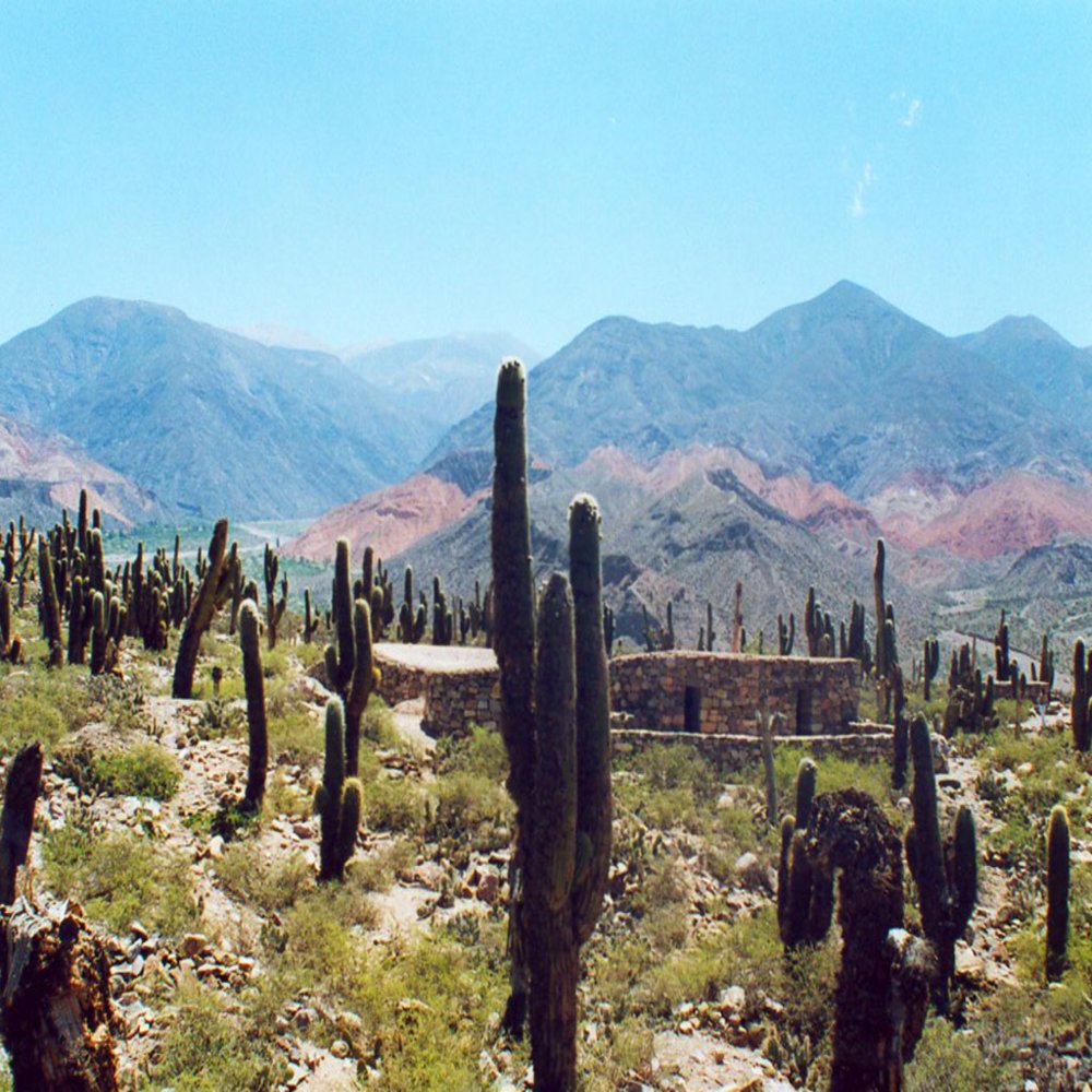C salta parque nacional los cardones 7