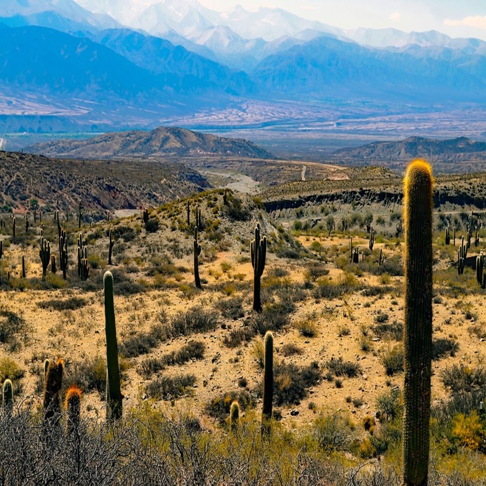 C salta parque nacional los cardones 4