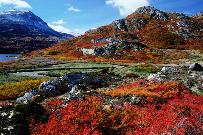C tierra de fuego parque nacional tierra del fuego 2