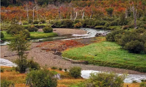 C tierra de fuego parque nacional tierra del fuego 3