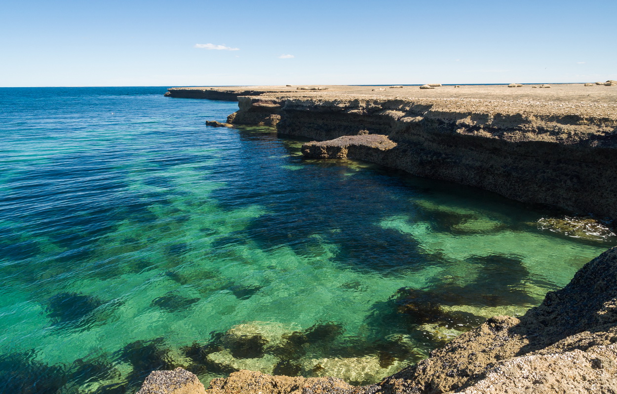 C chubut peninsula valdes 7