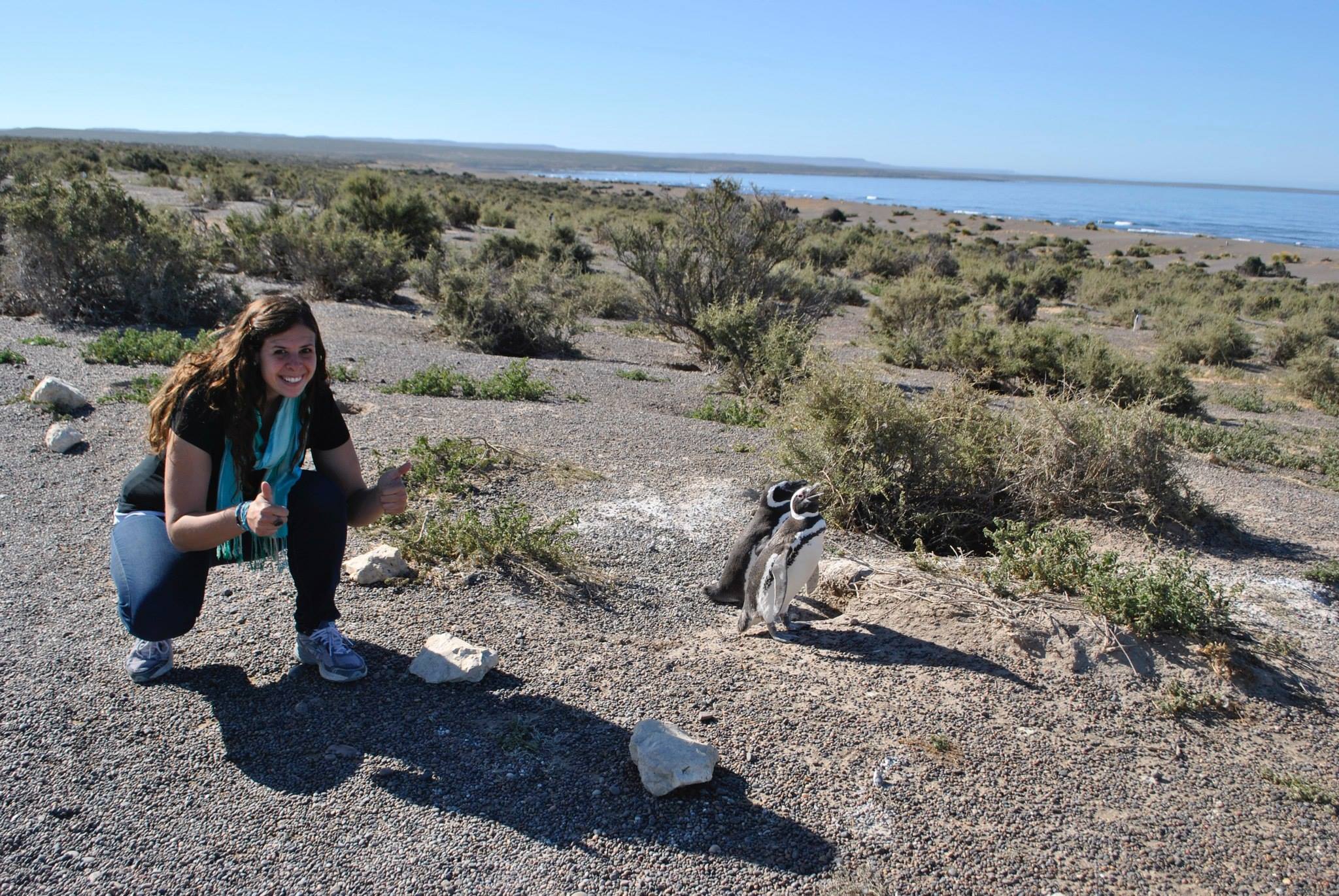 C chubut peninsula valdes 9