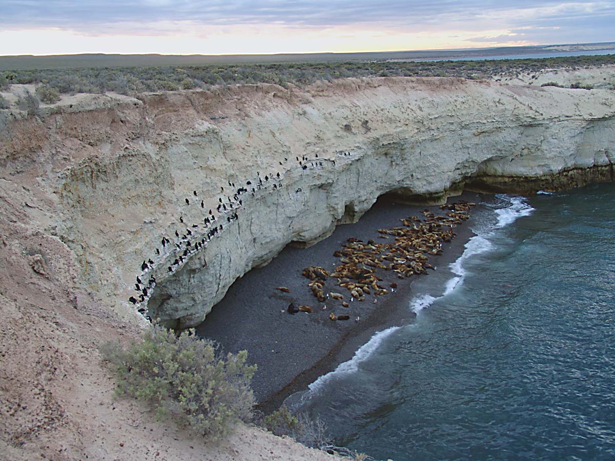 C chubut peninsula valdes 14