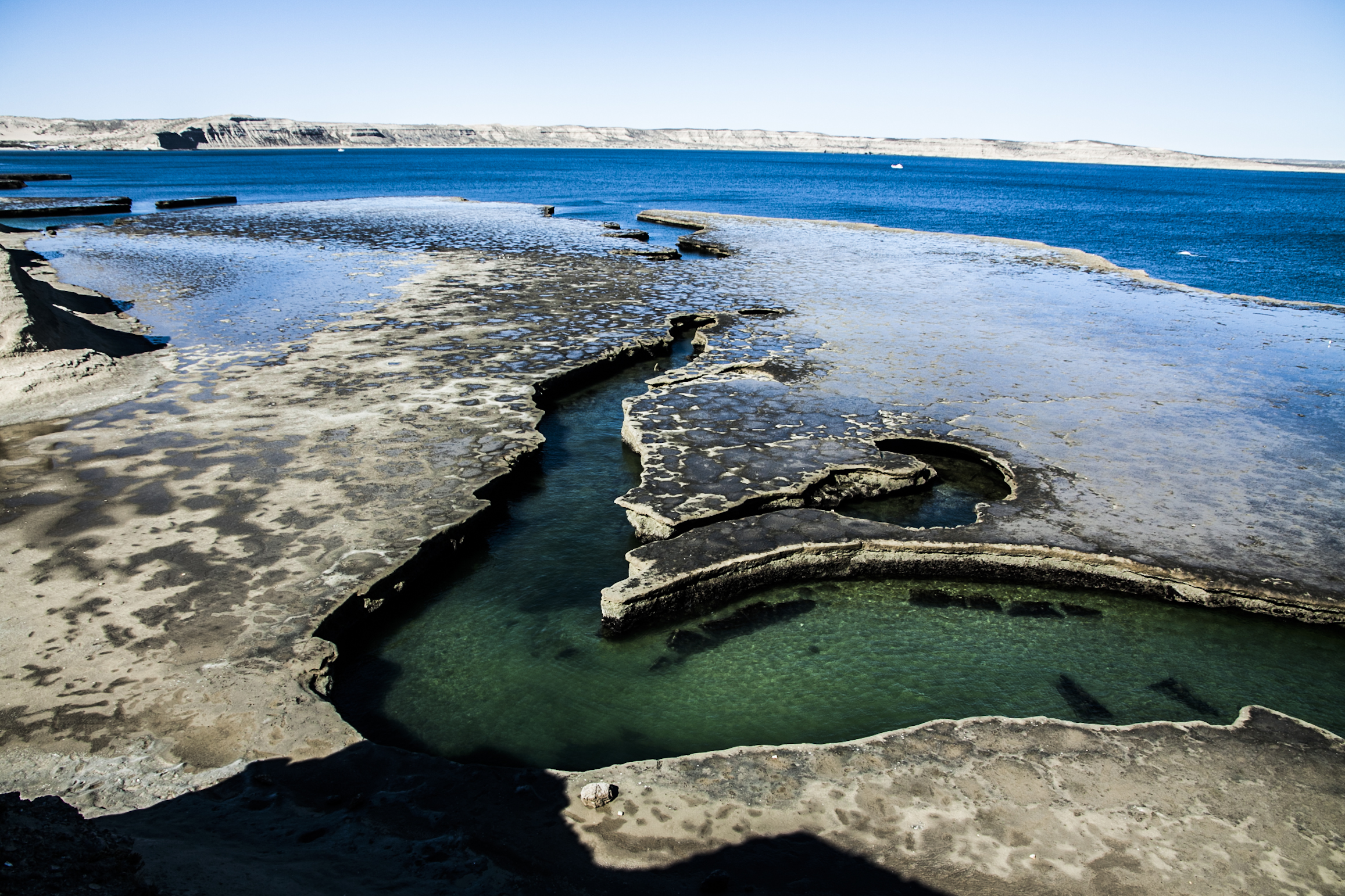 C chubut peninsula valdes 15