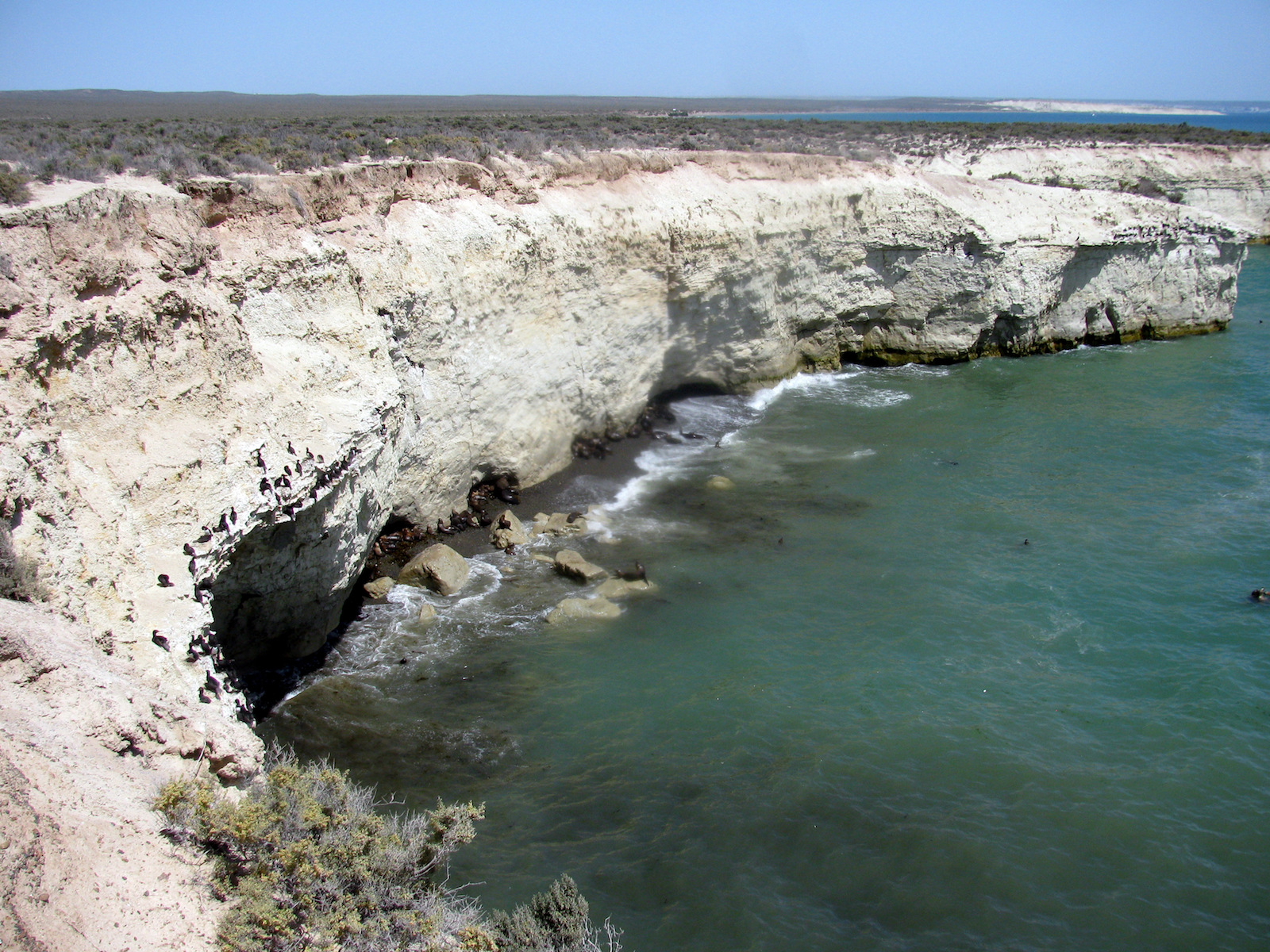 C chubut peninsula valdes 16