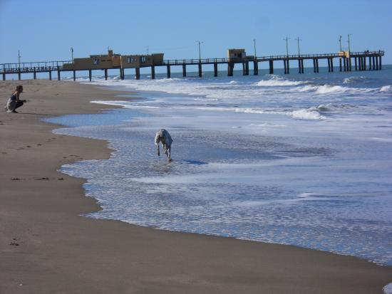 C buenos aires pinamar 17