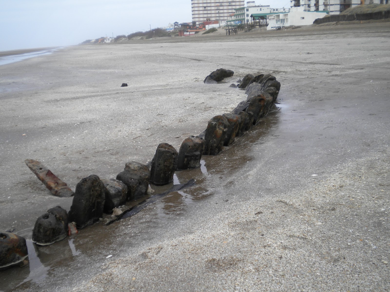 C generalidades del pais playas de argentina 8