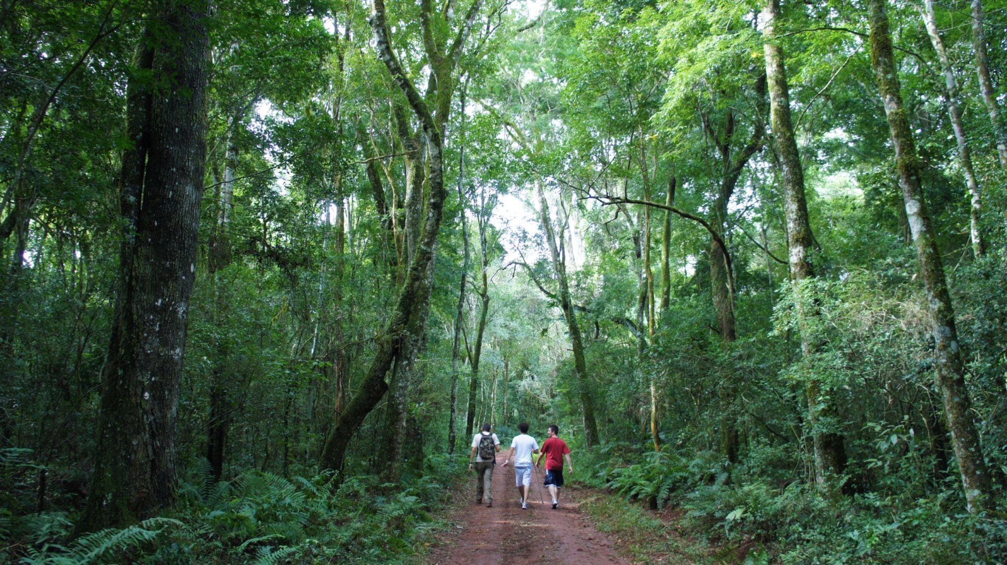 C misiones puerto iguazu argentina 13