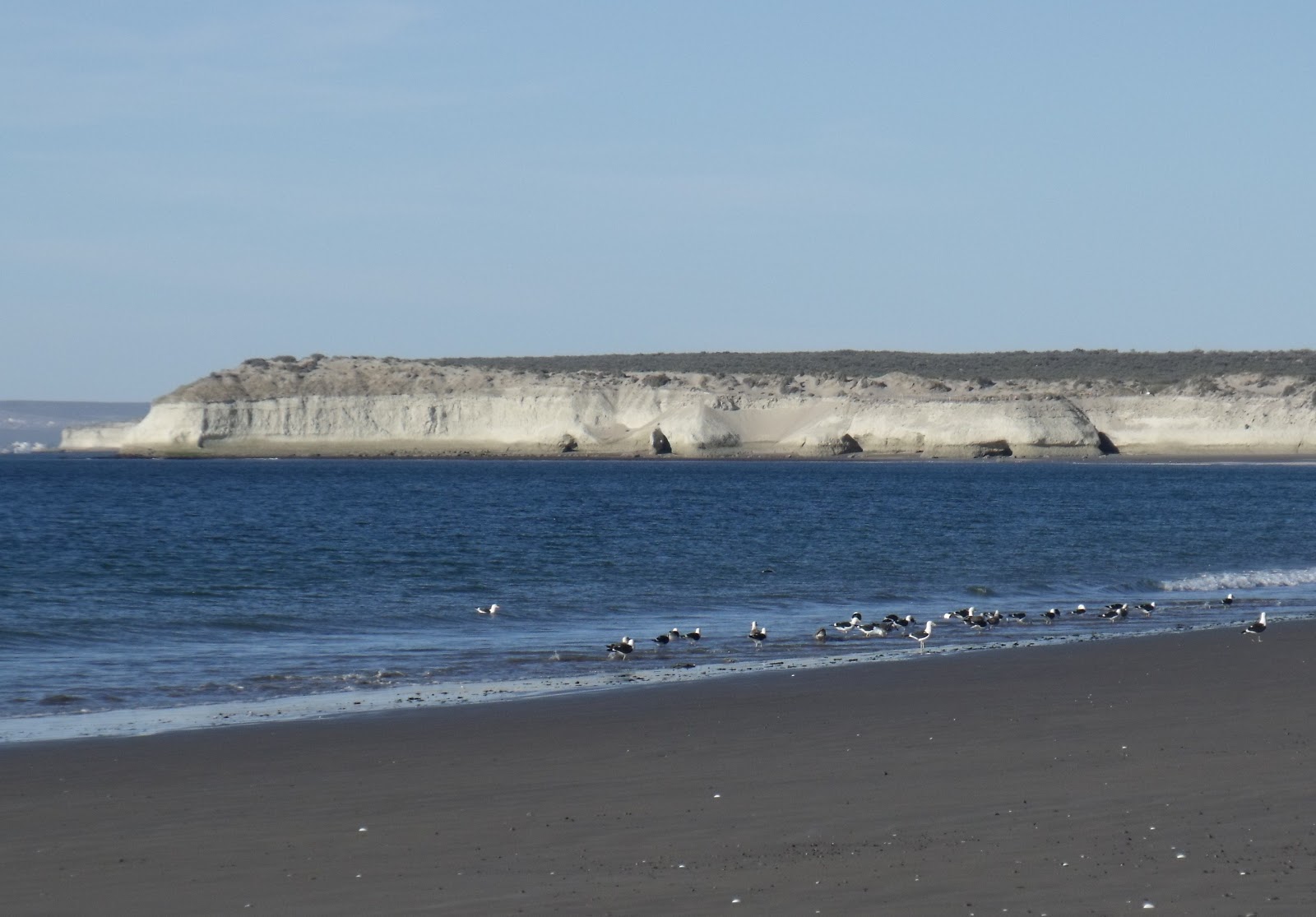 C chubut puerto madryn 7