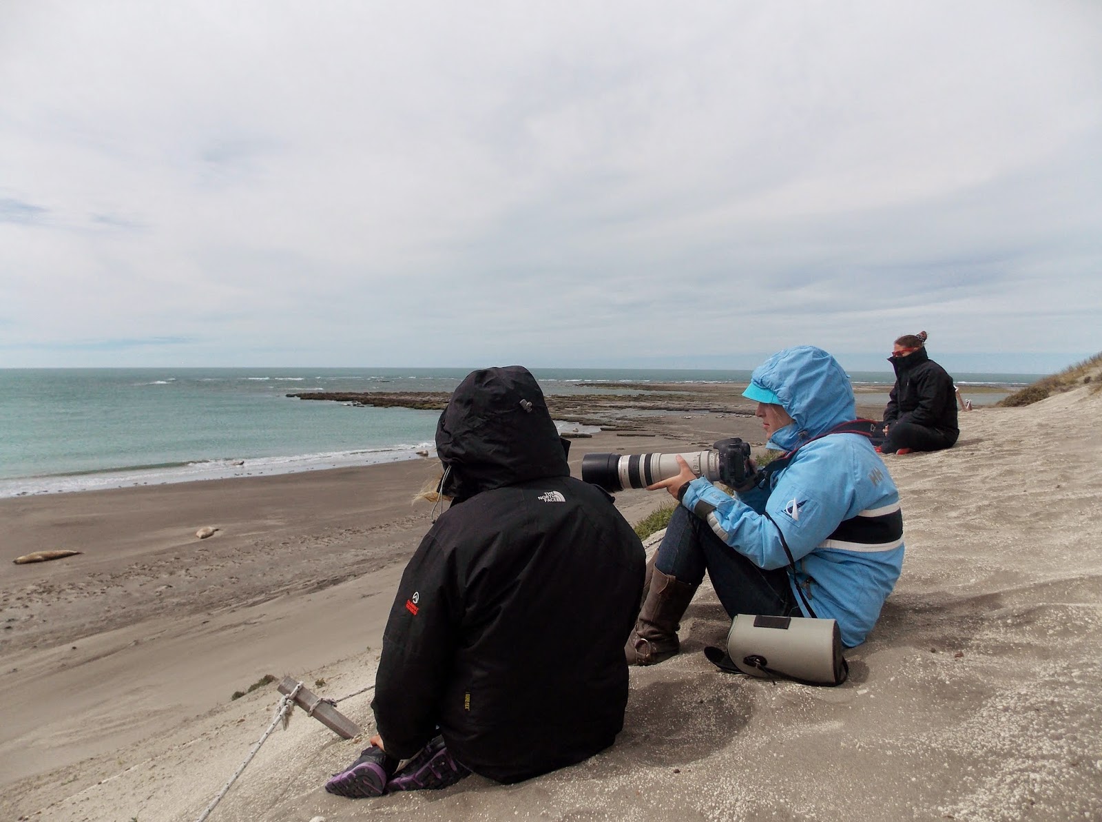 C chubut puerto madryn 23