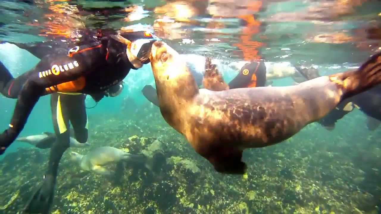 C chubut puerto madryn 24