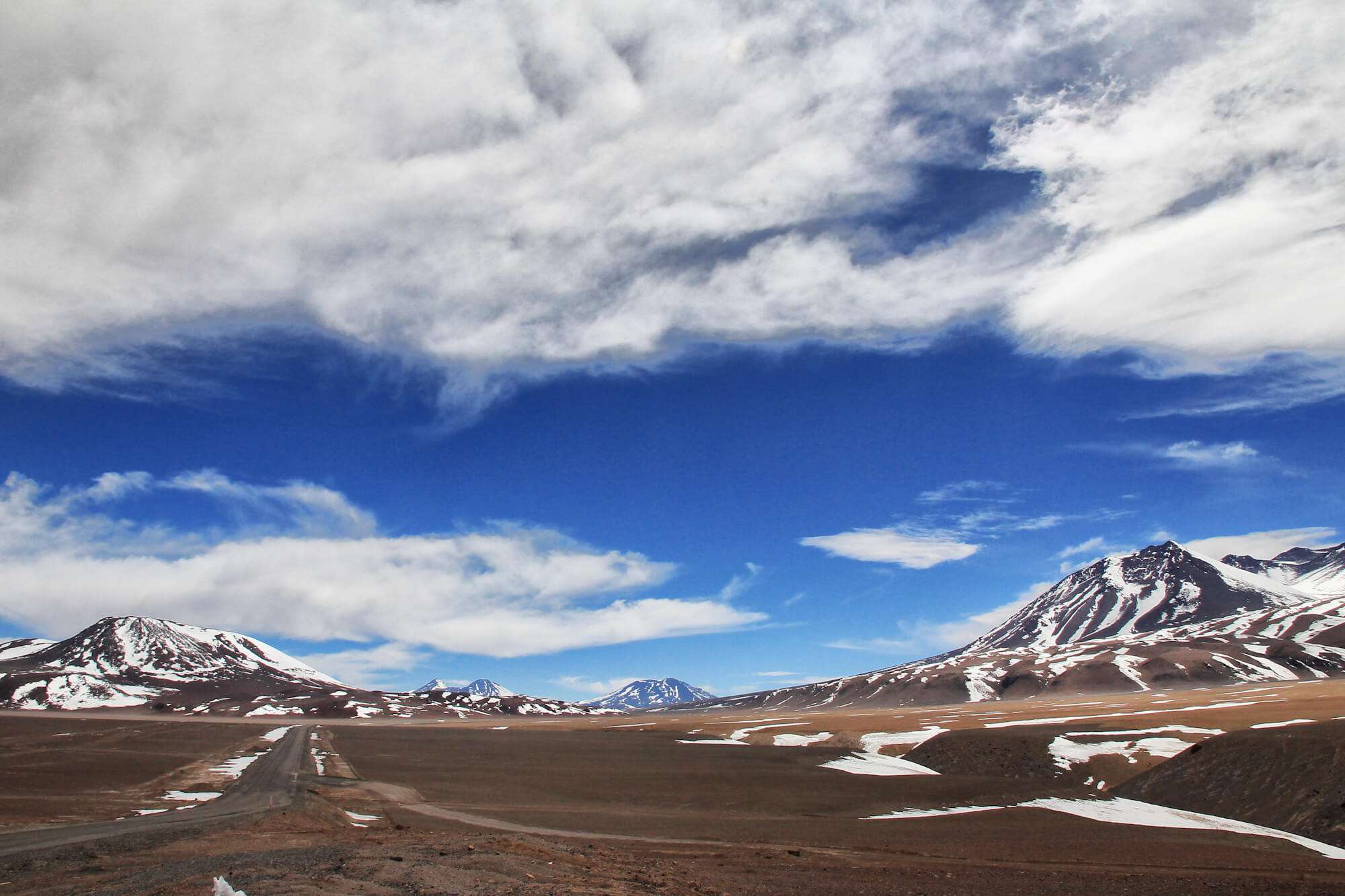 C zona austral puna de atacama 2