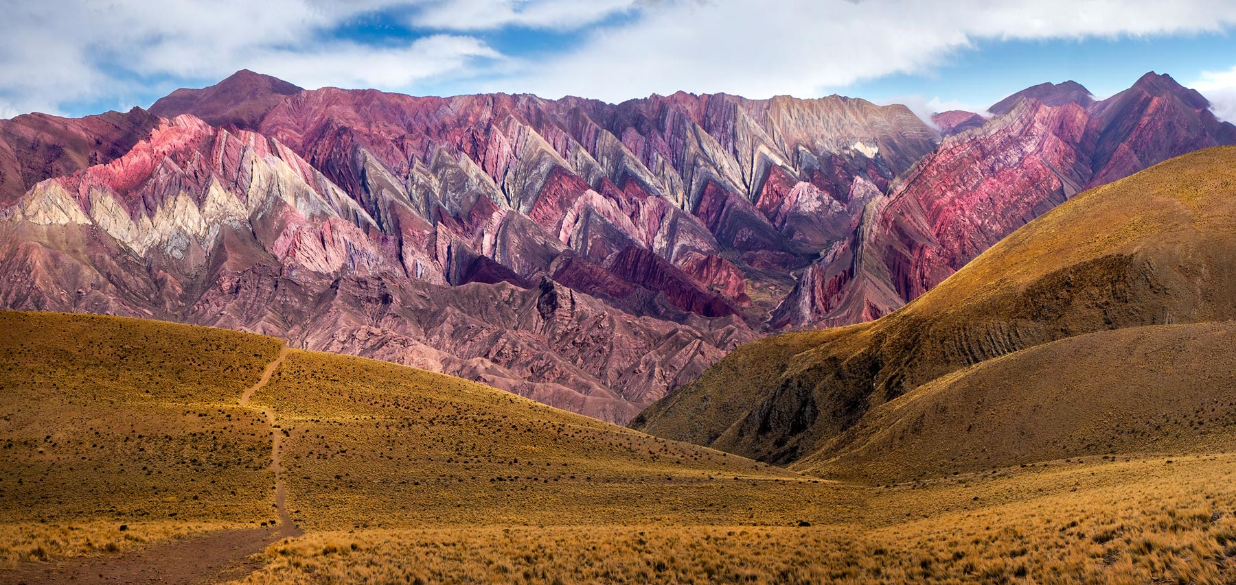 C zona austral puna de atacama 3