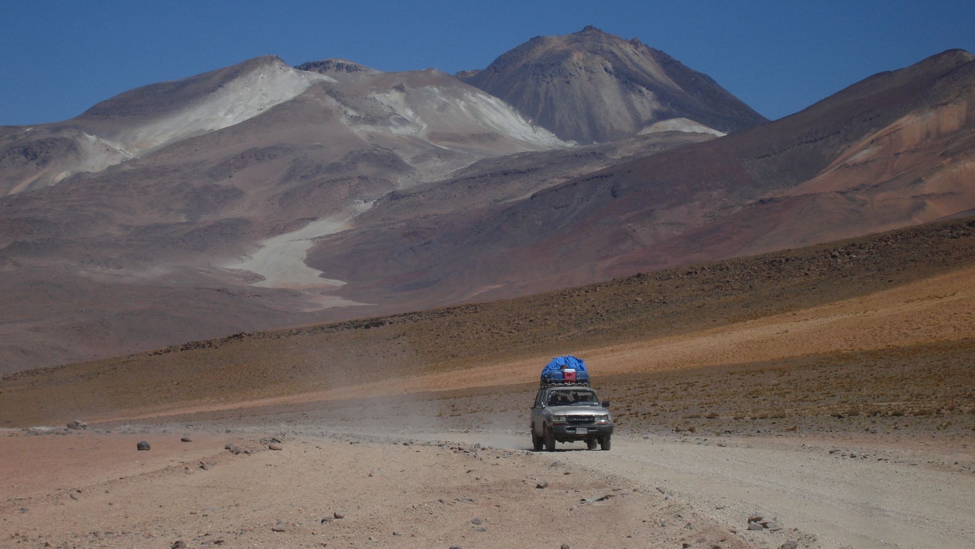 C zona austral puna de atacama 4