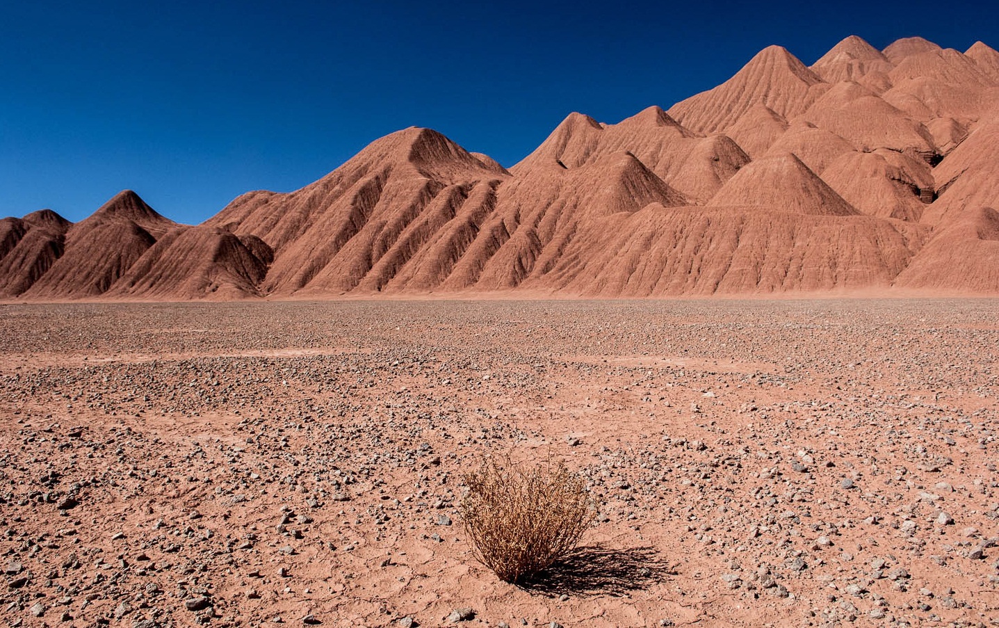 Puna de Atacama: ubicación, lugares turísticos y mucho más