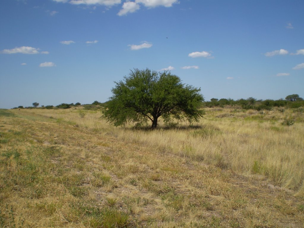 C zona austral region pampeana argentina 3