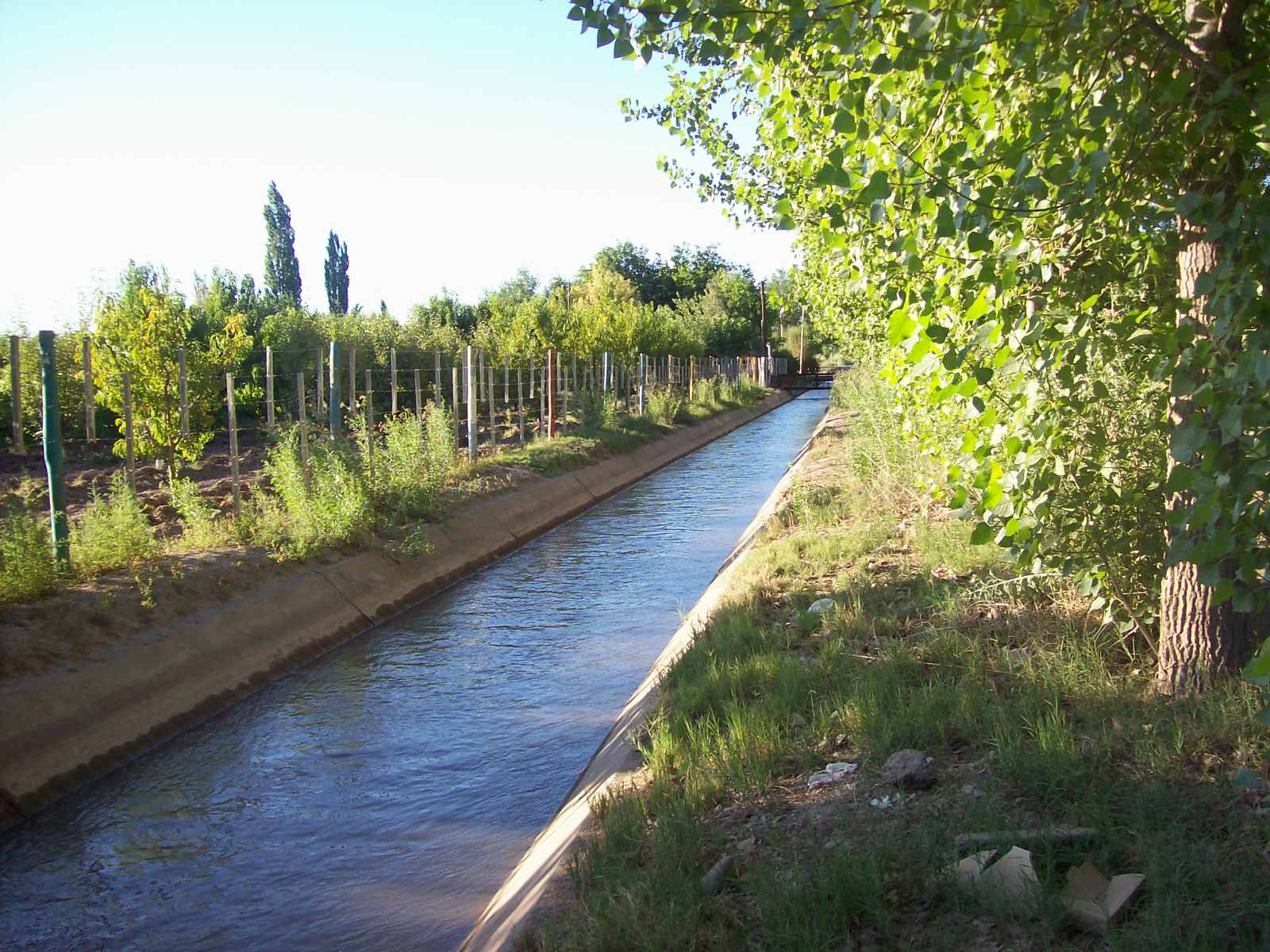 C rio negro rio colorado rio negro 4