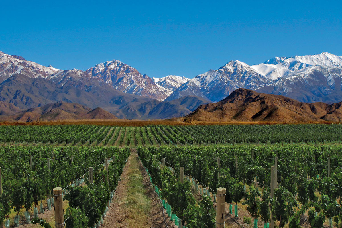 C mendoza ruta del vino mendoza 2
