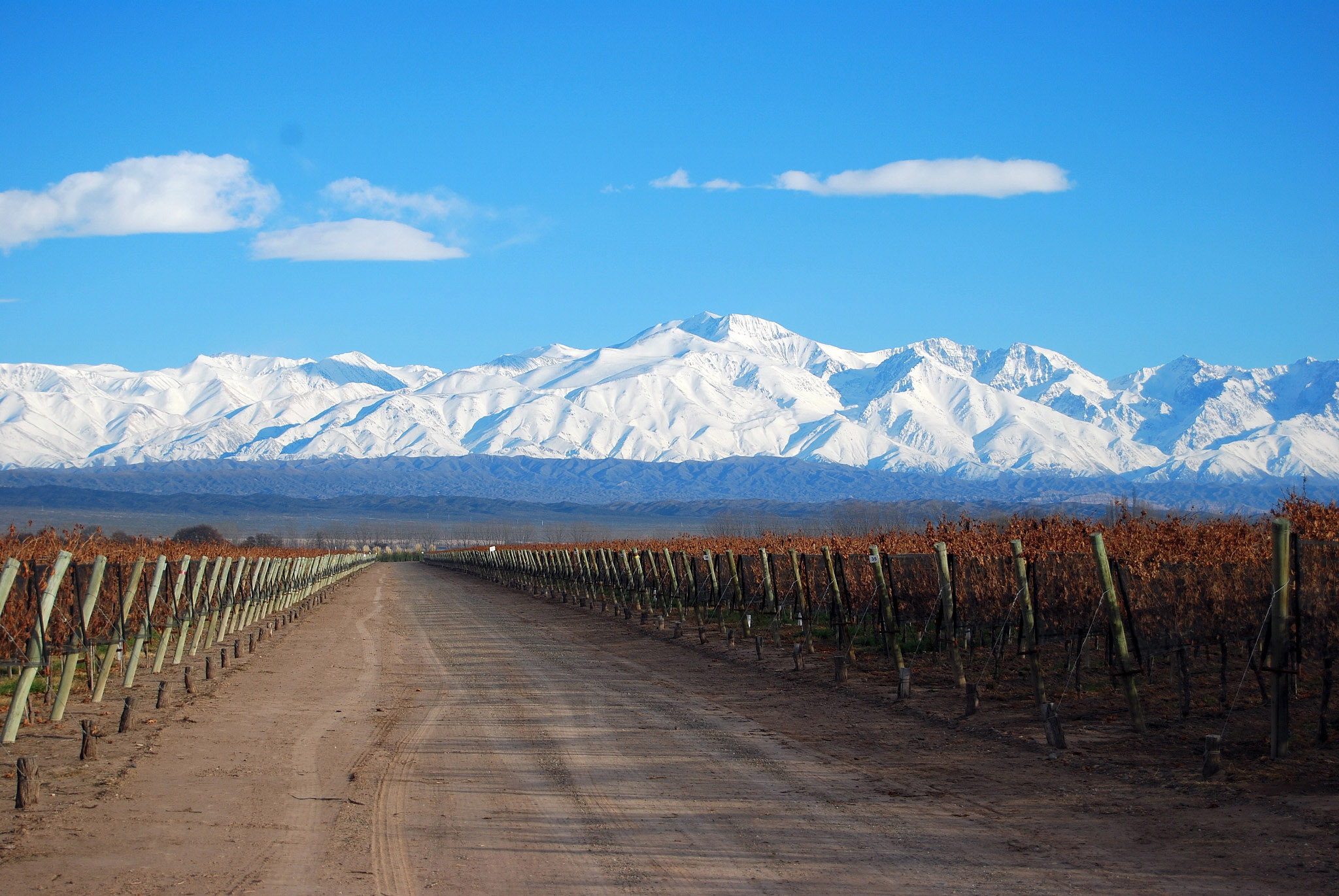 C mendoza ruta del vino mendoza 7