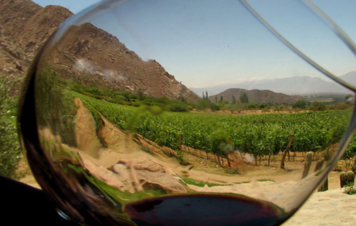 C mendoza ruta del vino mendoza 3