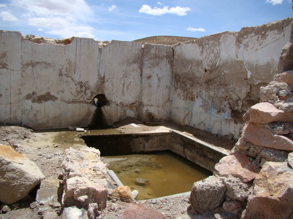 C salta san antonio de los cobres 6