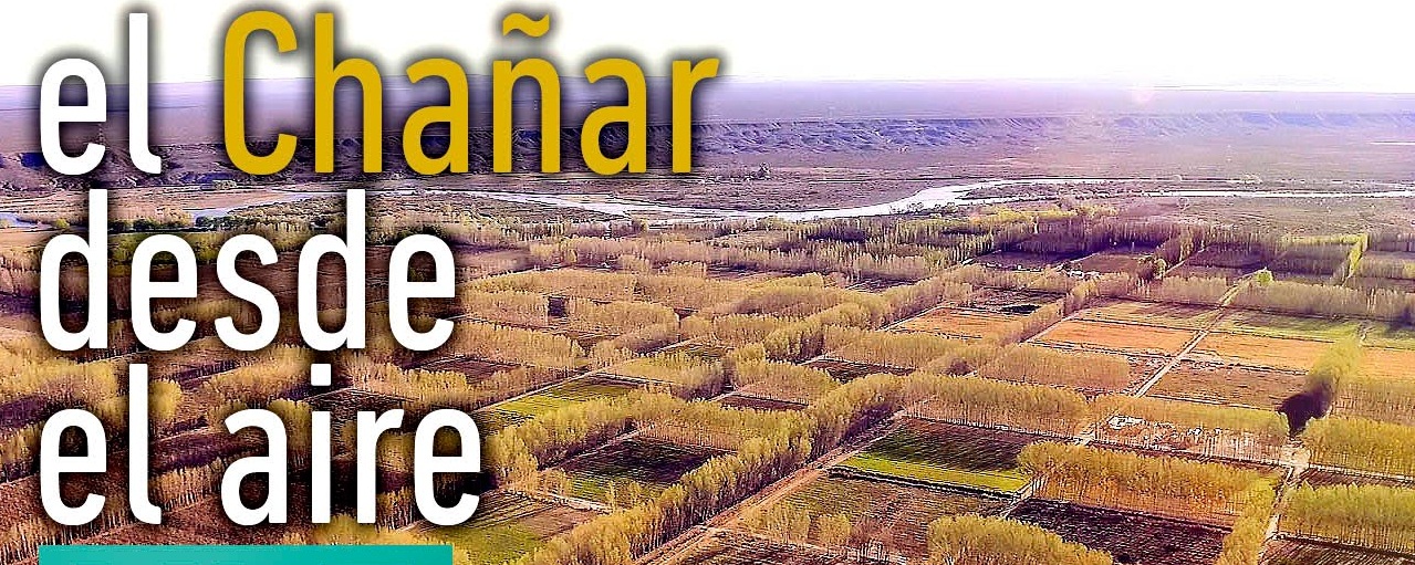 C neuquen san patricio del chanar 2
