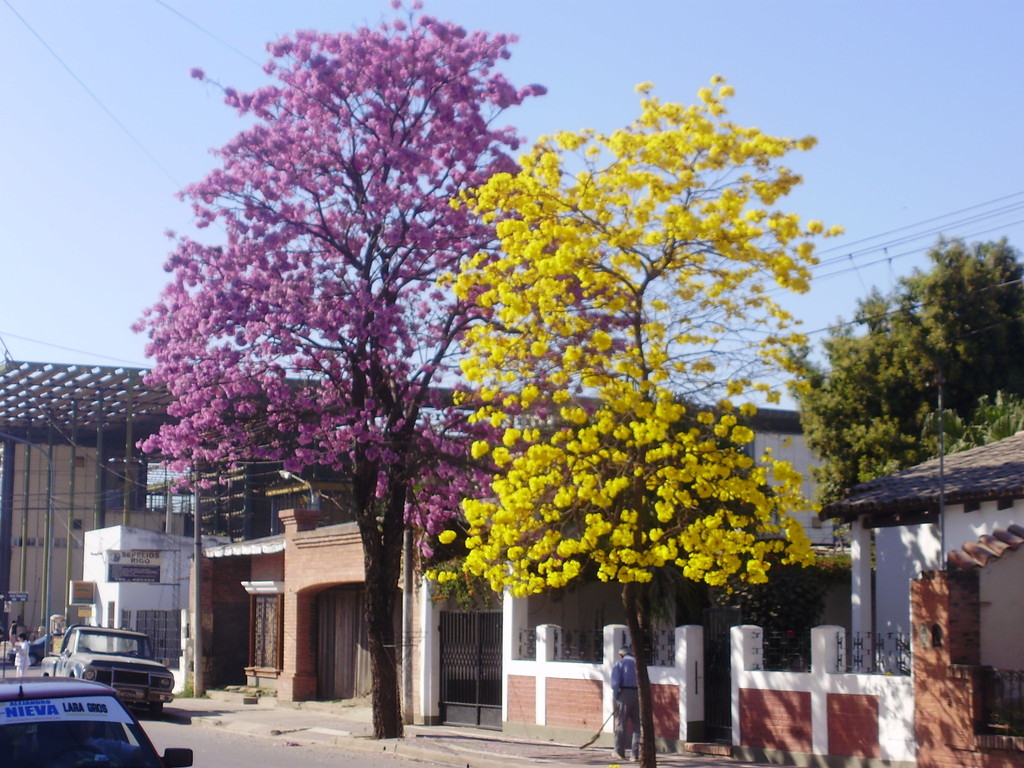 C salta san ramon de la nueva oran 8