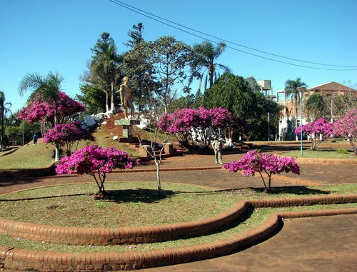C misiones san vicente misiones 2