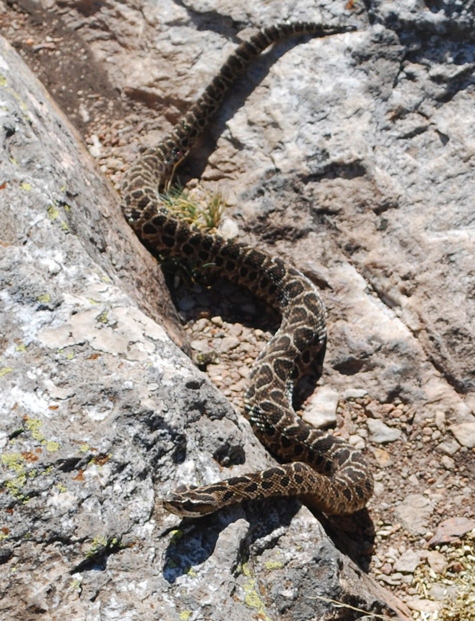 C buenos aires sierra de la ventana 12
