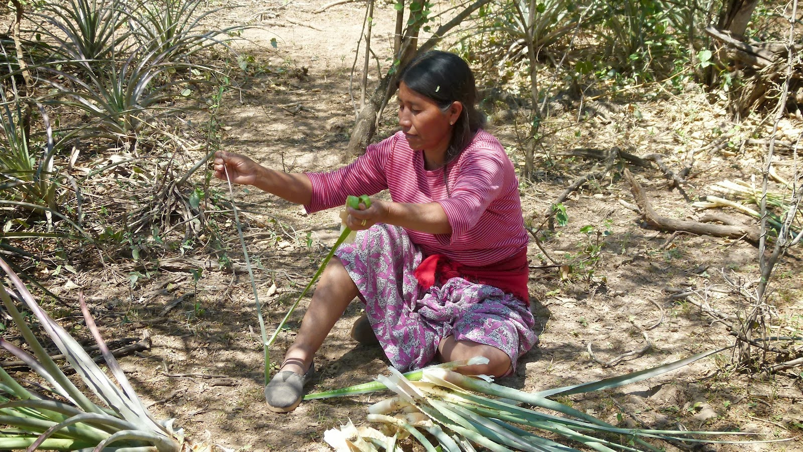 C salta tartagal en salta 14
