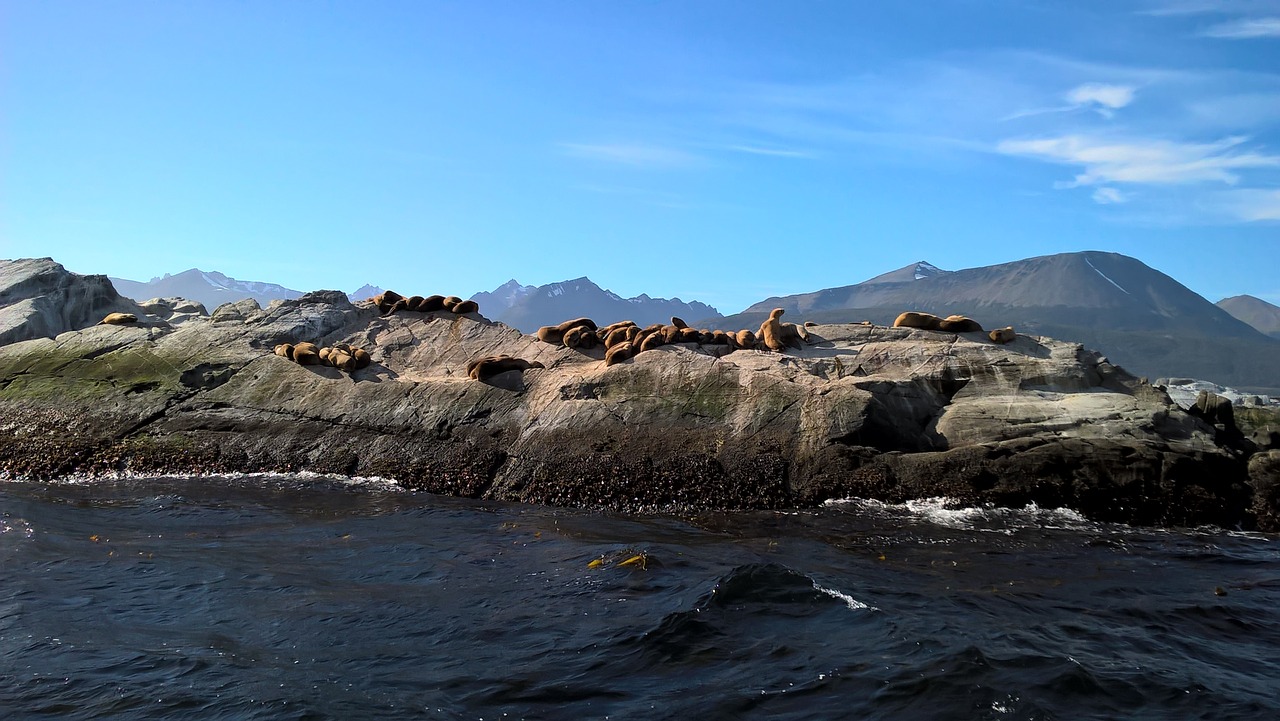 C provincias tierra del fuego 7
