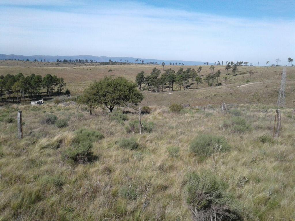 C cordoba valle de calamuchita 17