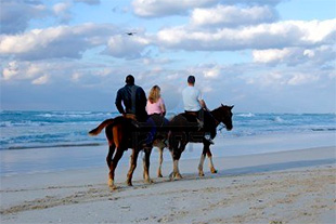 C buenos aires villa gesell 6