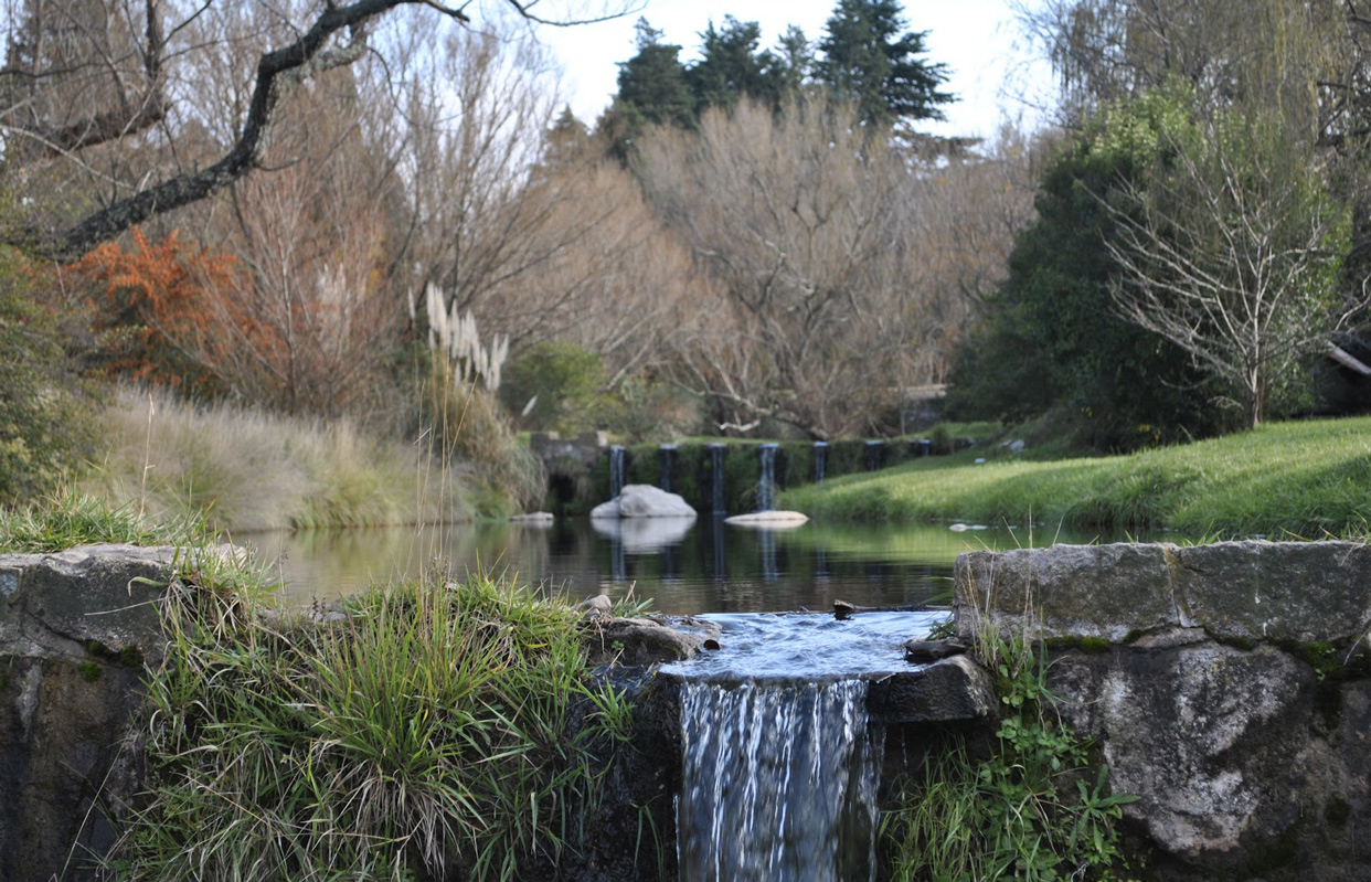 C cordoba villa giardino 6