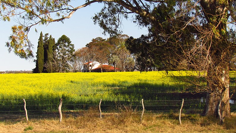 C entre rios villaguay entre rios 6