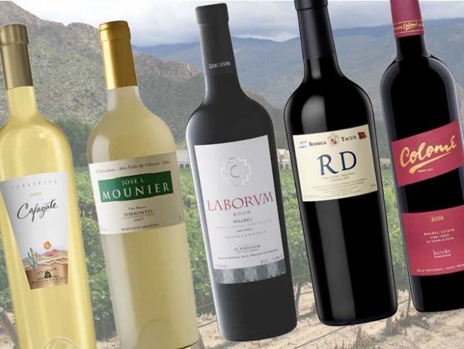 C mendoza vino argentina 11