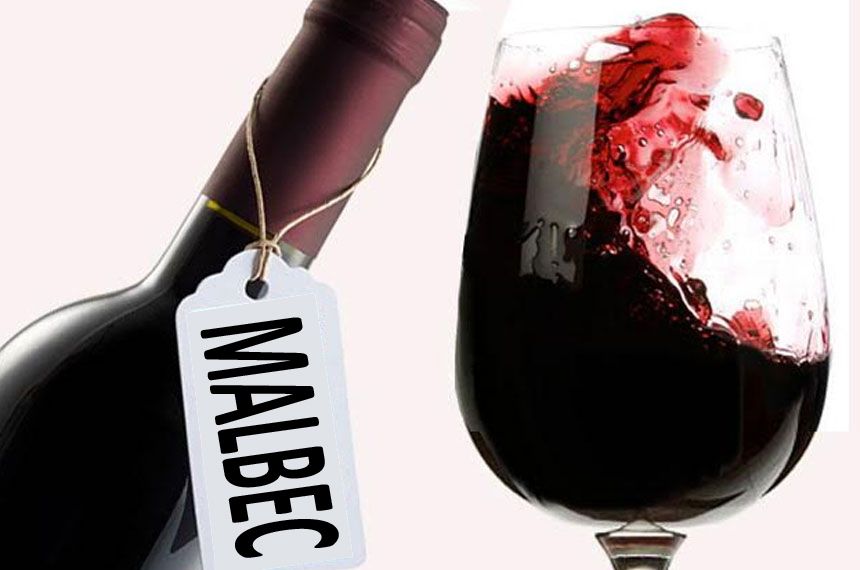 C mendoza vino argentina 14