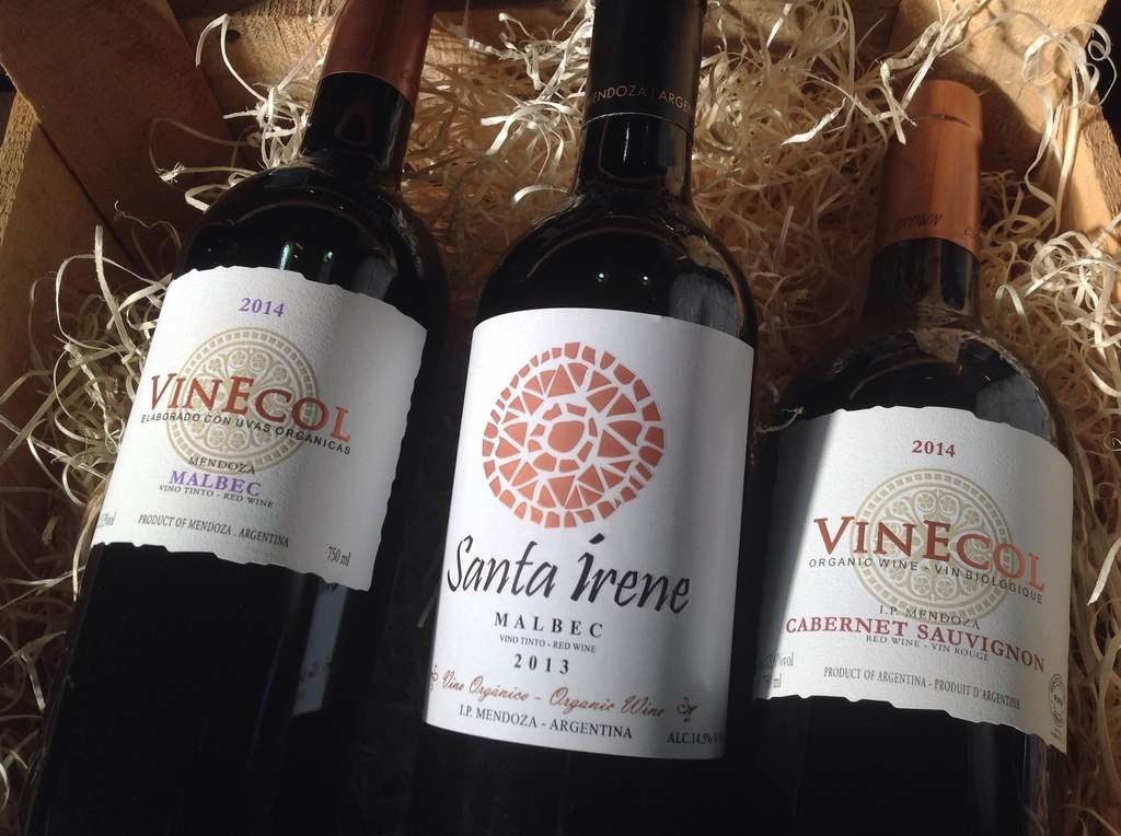 C mendoza vino argentina 15