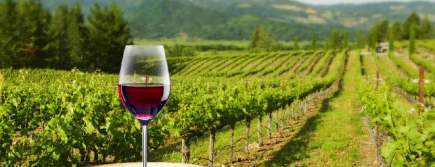 C mendoza vino argentina 16
