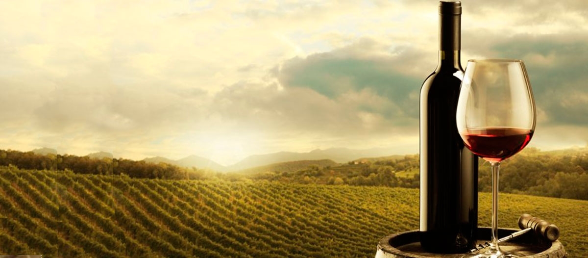 C mendoza vino argentina 3