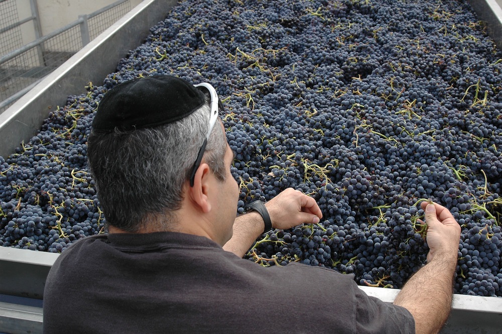 C mendoza vino argentina 18